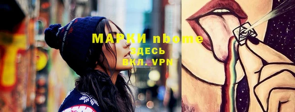 гашик Краснослободск
