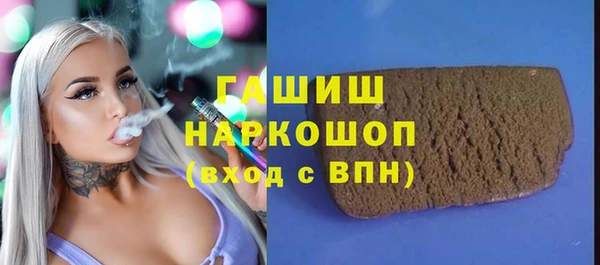 гашик Краснослободск