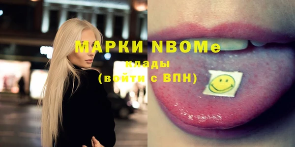 гашик Краснослободск