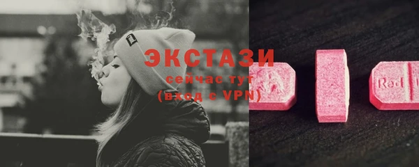 гашик Краснослободск
