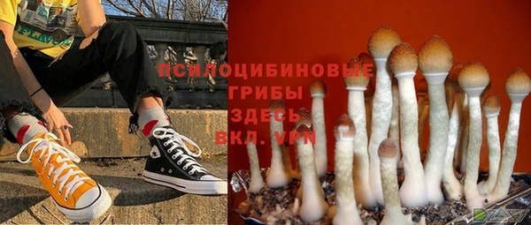 гашик Краснослободск