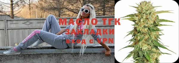 гашик Краснослободск