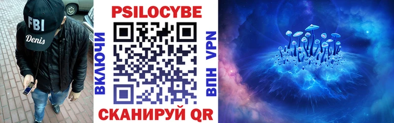 Псилоцибиновые грибы Psilocybe  Купить где  Богородск 